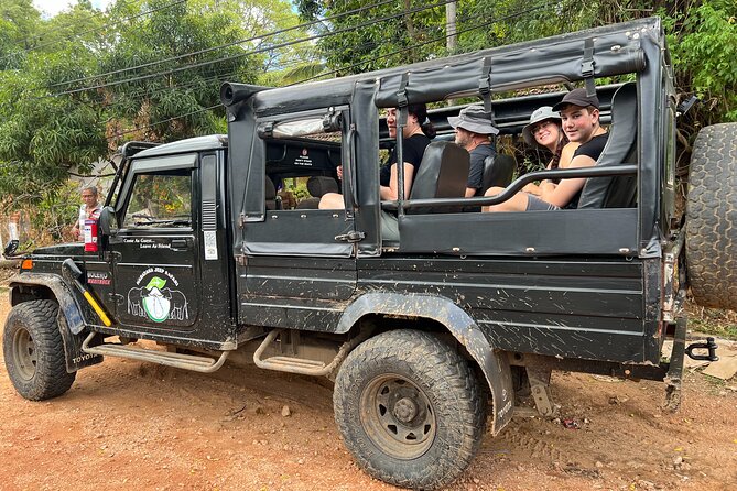 Minneriya National Park Elephant Safari Tour - What wildlife sightings may be like