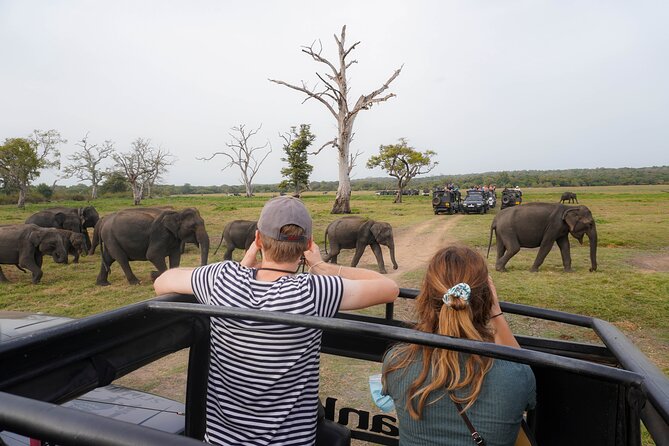 Minneriya National Park Half Day Elephant Safari - Inside Minneriya National Park