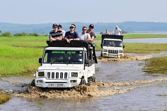 Minneriya National Park halfday Safari - Minneriya Reservoir and the elephant gathering
