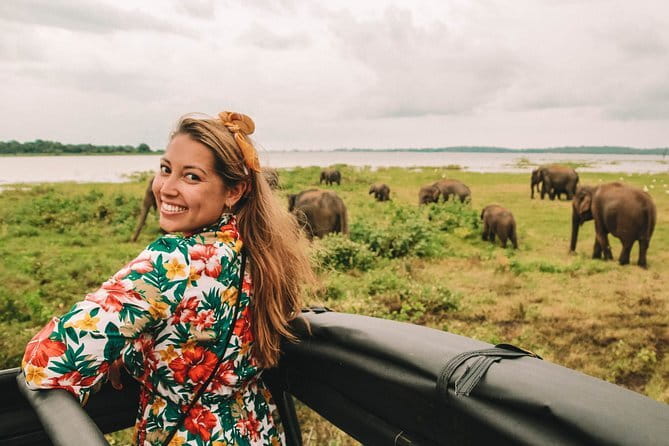 Minneriya National Park | Private Safari - What the driver adds to the experience