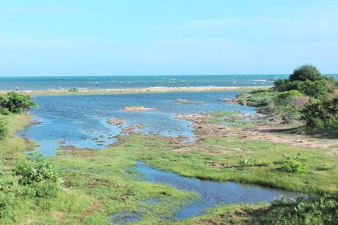 Minneriya National Park : Safari Jeep with Tickets - The 2:30 pm pickup and drive to the gate