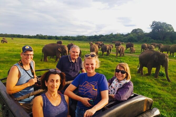 Minneriya National Park Safari [private , full package] - Key things to know before booking