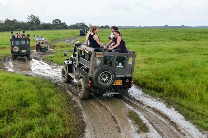 Minneriya National Park Safari [private , full package] - What makes the private format worthwhile