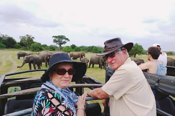 Minneriya National Park Safari [private , full package] - The elephant sightings are excellent, but crowded moments happen