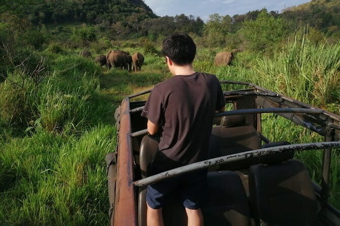 Minneriya National Park Safari - Private Jeep with Hotel Pickup - The drive to the park and the first briefing