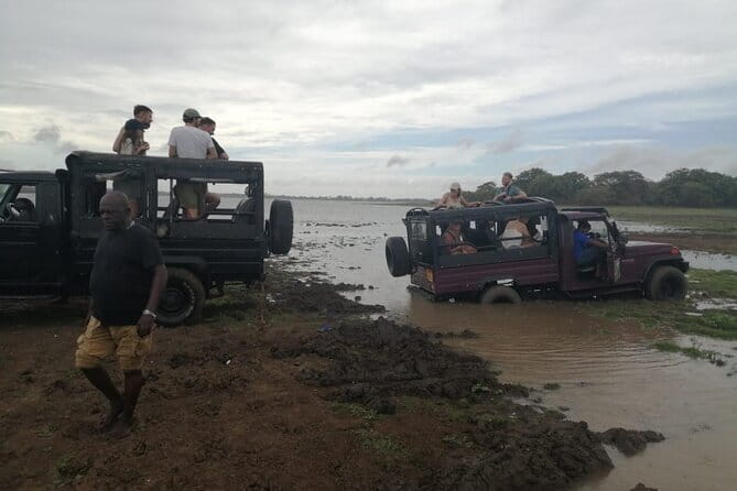 Minneriya National Park Safari - Private Jeep with Hotel Pickup - What the guide adds to the experience