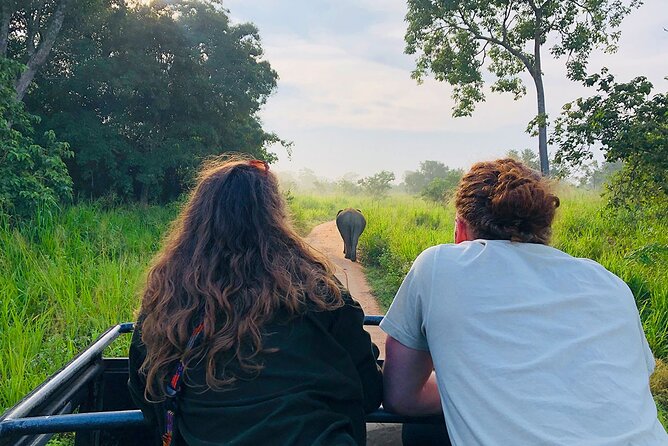 Minneriya National park Safari Sri Lanka - The elephant experience is the strongest reason to go