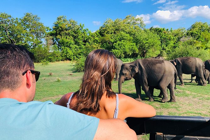 Minneriya National park Safari Sri Lanka - Price, park fees, and real value