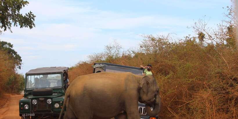 Minneriya: Private Jeep Safari From Trincomalee - Key points to know before booking
