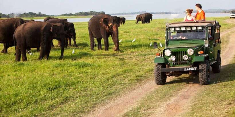 Minneriya: Private Jeep Safari From Trincomalee - From Trincomalee to Minneriya National Park