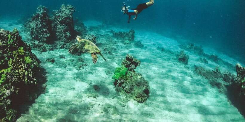 Mirissa: Snorkeling Experience with Turtles - Getting comfortable with the mask and fins