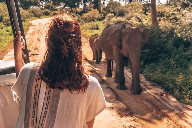 Mirissa to Ella Shuttle & Udawalawe Safari Drive with Breakfast - The onward ride to Ella, Haputale, or Bandarawela
