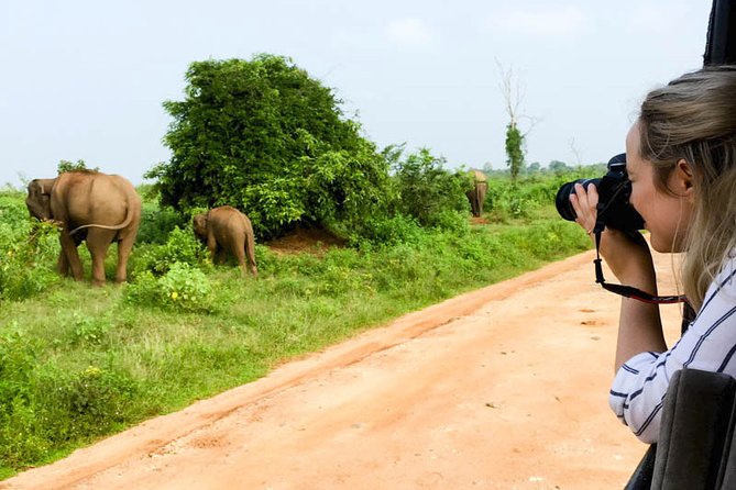 Mirissa to Ella Shuttle & Udawalawe Safari Drive with Breakfast - Is $75 a fair price?