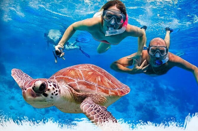 Mirissa Unforgettable Snorkeling Experience with Turtles - Key points to know before you book