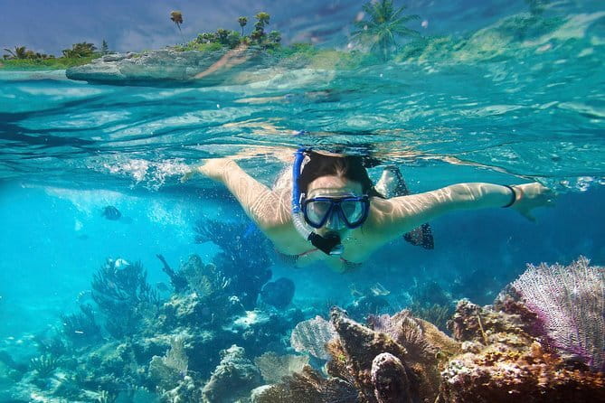 Mirissa Unforgettable Snorkeling Experience with Turtles - Is $24 good value in Mirissa?