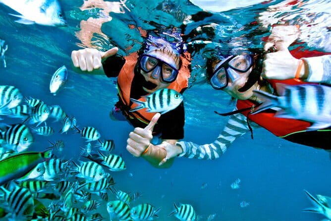 Mirissa Unforgettable Snorkeling Experience with Turtles - Who should book this experience?