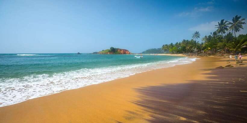 Mirissa/Weligama/Galle: Galle & Bentota Coastal Day Tour - Turtle hatchery and marine creatures