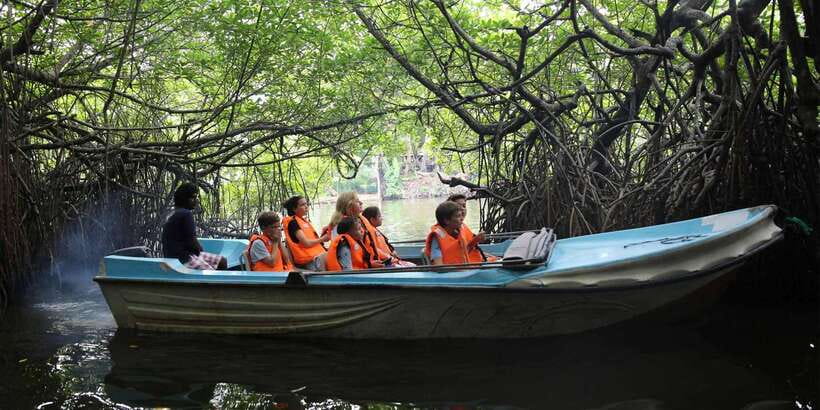 Mirissa/Weligama/Galle: Galle & Bentota Coastal Day Tour - Galle Fort: the grand finale