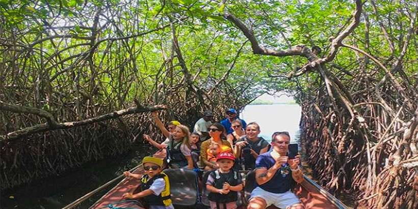 Mirissa/Weligama/Galle: Galle & Bentota Coastal Day Tour - Madu Ganga boat safari through mangroves