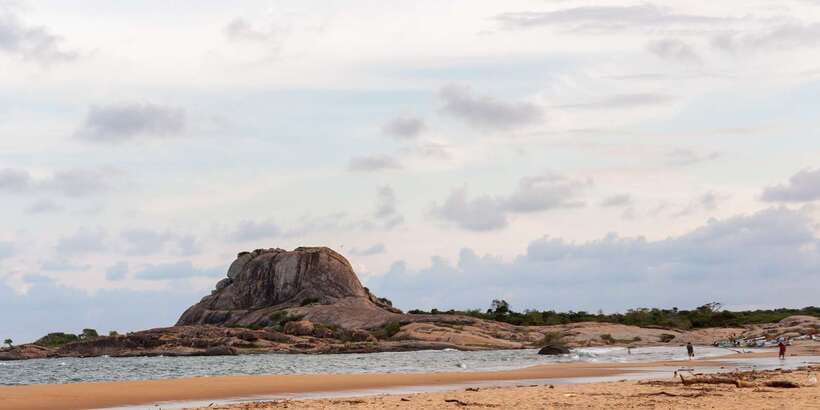 Mirissa/Weligama/Galle/Tangalle: Drop to Ella & Yala Safari - What you might see, and what you might miss