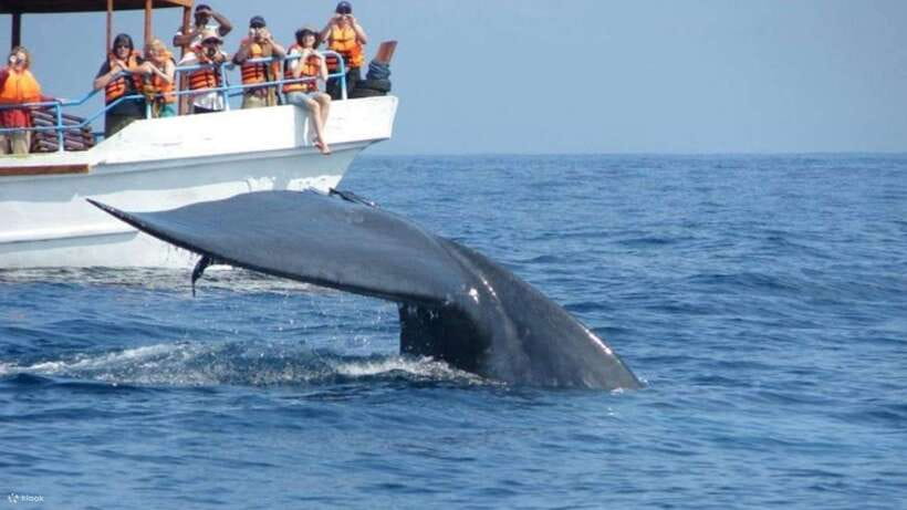 Mirissa: Whale & dolphin Watching Boat Tour with Breakfast - Breakfast on the open sea