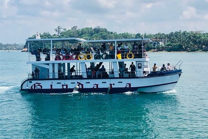 Mirissa Whale & Dolphin Watching Cruise with Geeth’s Crew - Key details before you book