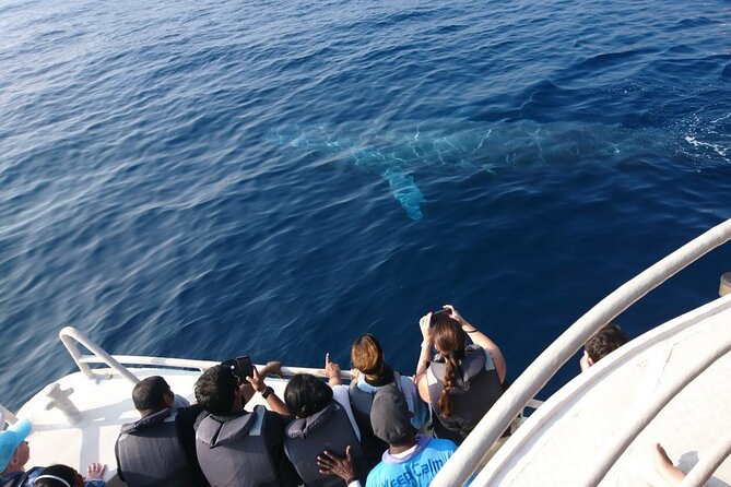 Mirissa Whale & Dolphin Watching Cruise with Geeth’s Crew - Setting out from Mirissa at 7:00 AM