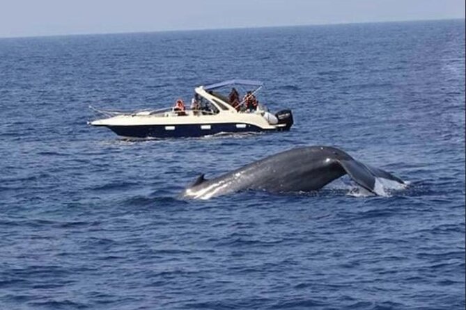 Mirissa Whale & Dolphin Watching Cruise with Geeth’s Crew - Safety measures and the reality of open water