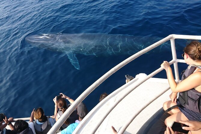 Mirissa Whale & Dolphin Watching Cruise with Geeth’s Crew - Breakfast that makes the early start easier