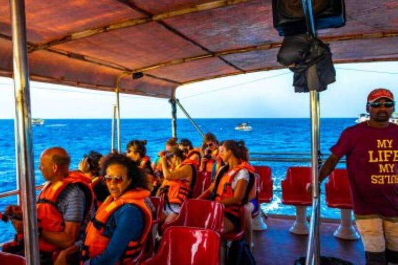 Mirissa: Whale Watching Cruise - Why Mirissa is a strong place for whale watching