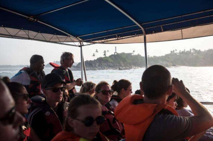 Mirissa: Whale Watching Cruise - Snorkeling is an extra, not a promise