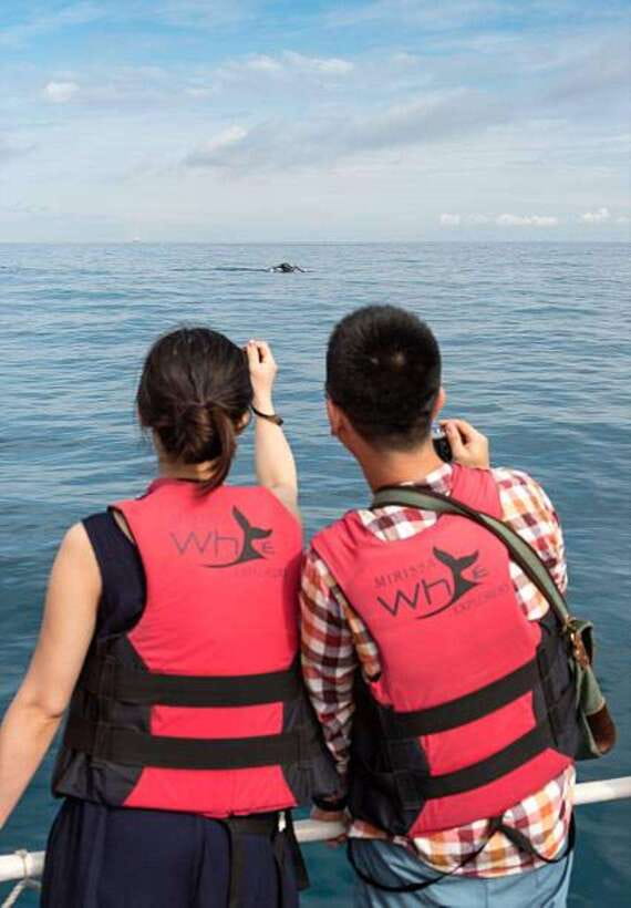 Mirissa: Whale Watching Cruise - Taking photographs without missing the moment