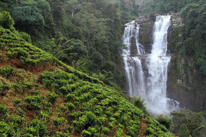 Mr.TukTuk Nuwara Eliya - Why this four-and-a-half-hour tour works