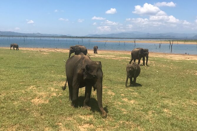 Multi Day Private Tour Around Sri Lanka with our Personal Driver - What this Sri Lanka road trip does well