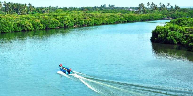 Muthurajawela Bird Watching Tour from Negombo and Colombo - Five things to know before you go