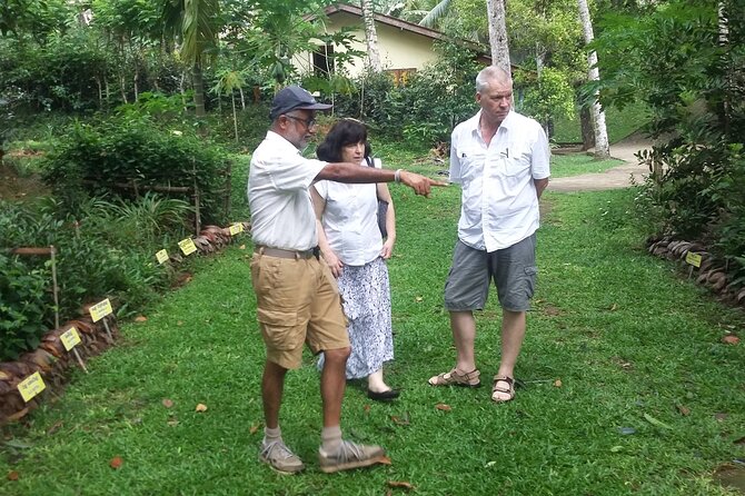 Nandana Tea Walking Tour in Sri Lanka - Who will enjoy Nandana most