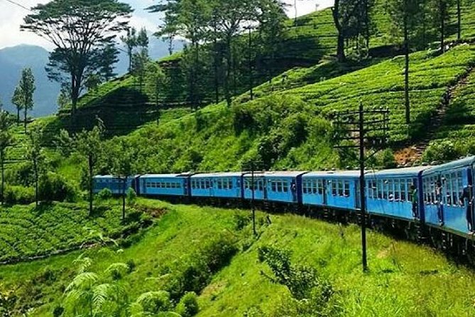 Nanu Oya to Ella train ride on (Train No: 1005 "Podi Menike") - Key points to know before you book