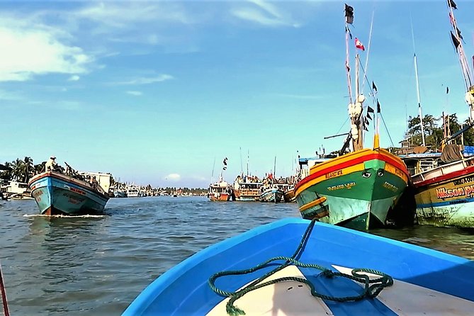 Negombo City Tour - The Fish Market: Negombo’s working waterfront