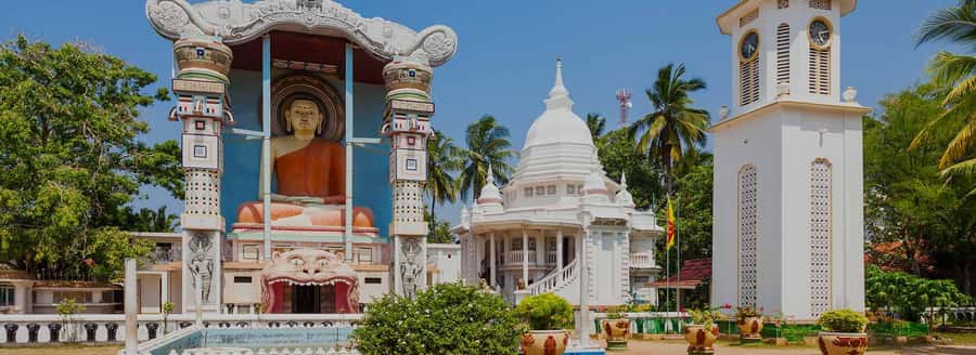 Negombo: Guided City Tour by Tuk Tuk with Hotel Pickup - Exploring the vegetable market and city streets