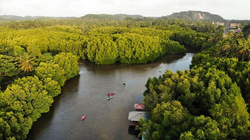 Negombo: Guided Kayaking Tour in the Lagoon - Mangroves, narrow channels, and a stop at Monkey Island