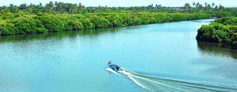 Negombo: Hamilton Canal to Colombo by Boat via Muthurajawela - The Dutch Canal: 45 minutes of colonial waterway
