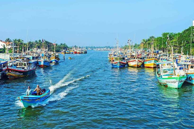 Negombo: Hamilton Canal to Colombo by Boat via Muthurajawela - Is $80 per person fair?
