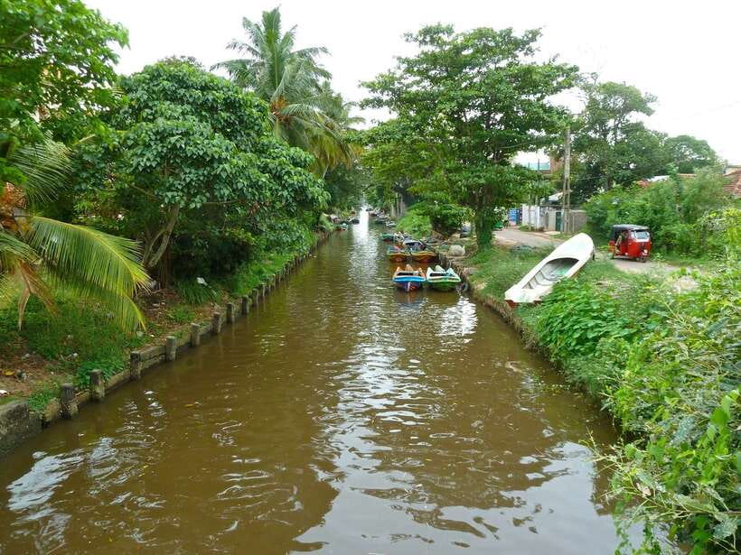Negombo: Hamilton Canal to Colombo by Boat via Muthurajawela - Starting in Negombo, Waikkal, or Katunayake