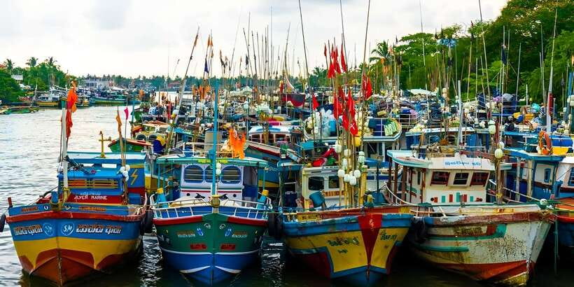 Negombo Heritage Walking Tour - King George’s Drive and the dry fish center