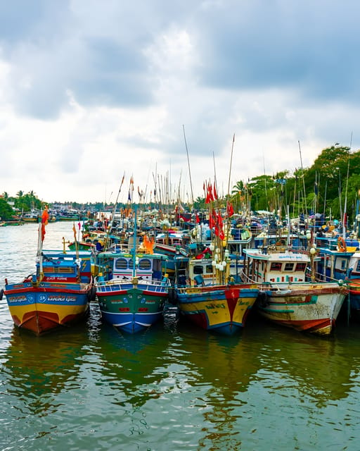 Negombo Heritage Walking Tour - Lellama fish market and Negombo’s coastal life