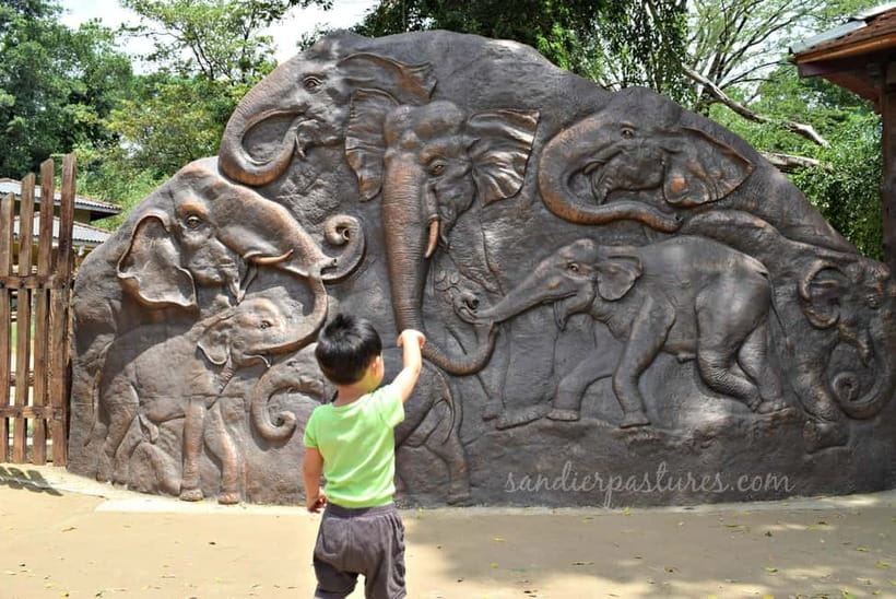 Negombo: Kandy and Pinnawala Elephant Orphanage Day Tour - Key points to know before booking