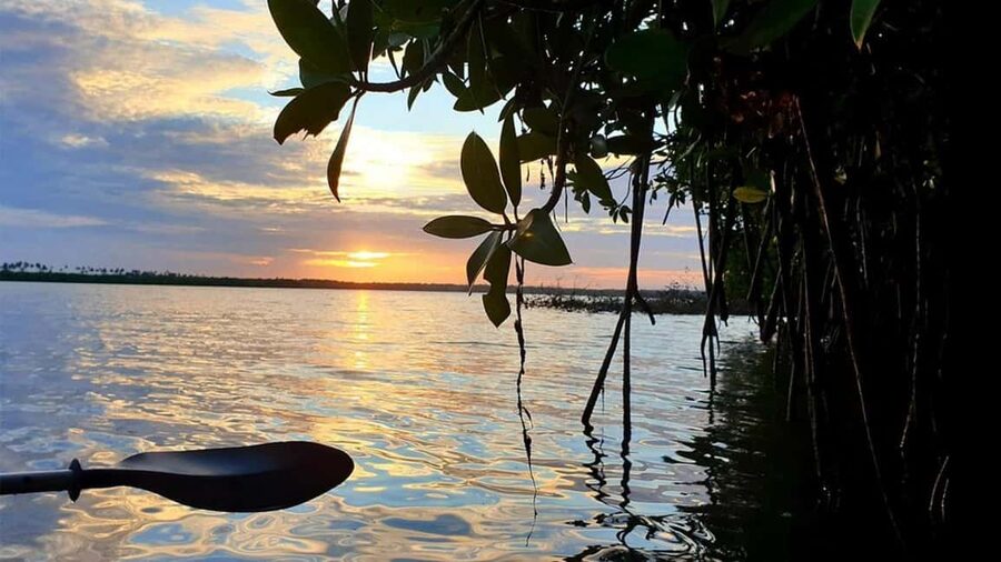 Negombo: Kayaking in the Lagoon - Starting at Captains Landing