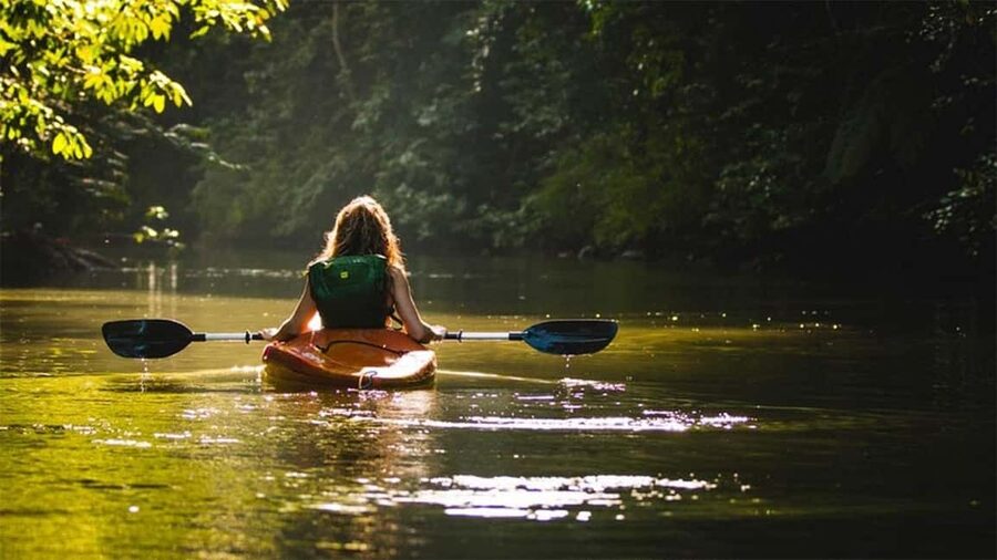 Negombo: Kayaking in the Lagoon - Birdwatching Among the Mangroves