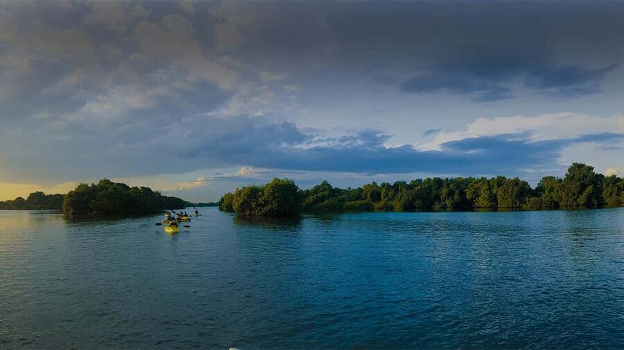 Negombo: Kayaking in the Lagoon - Who Will Enjoy This Kayak Trip