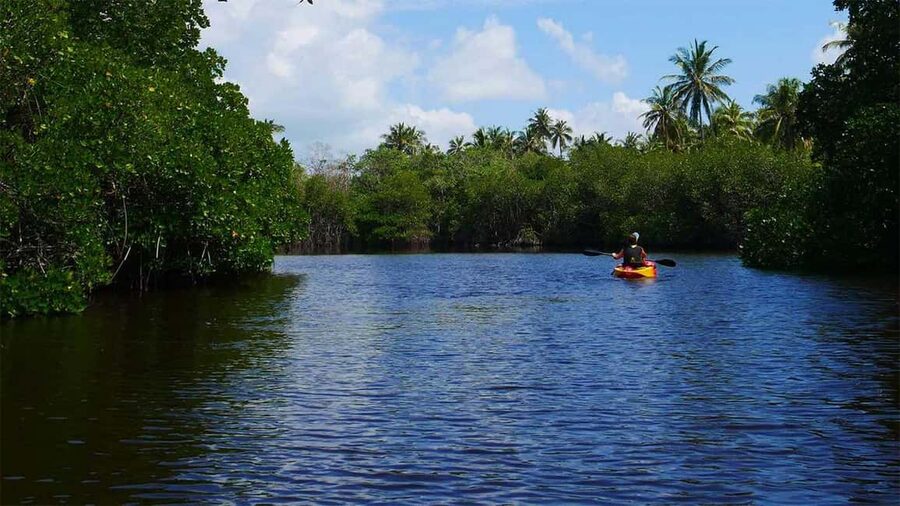 Negombo: Kayaking in the Lagoon - Paddling Into Negombo Lagoon
